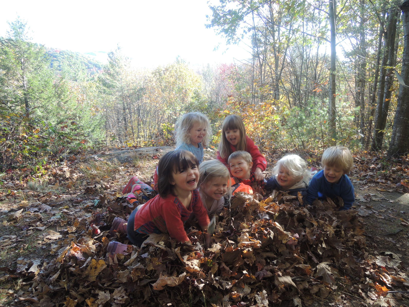 Leaf Pile Fun