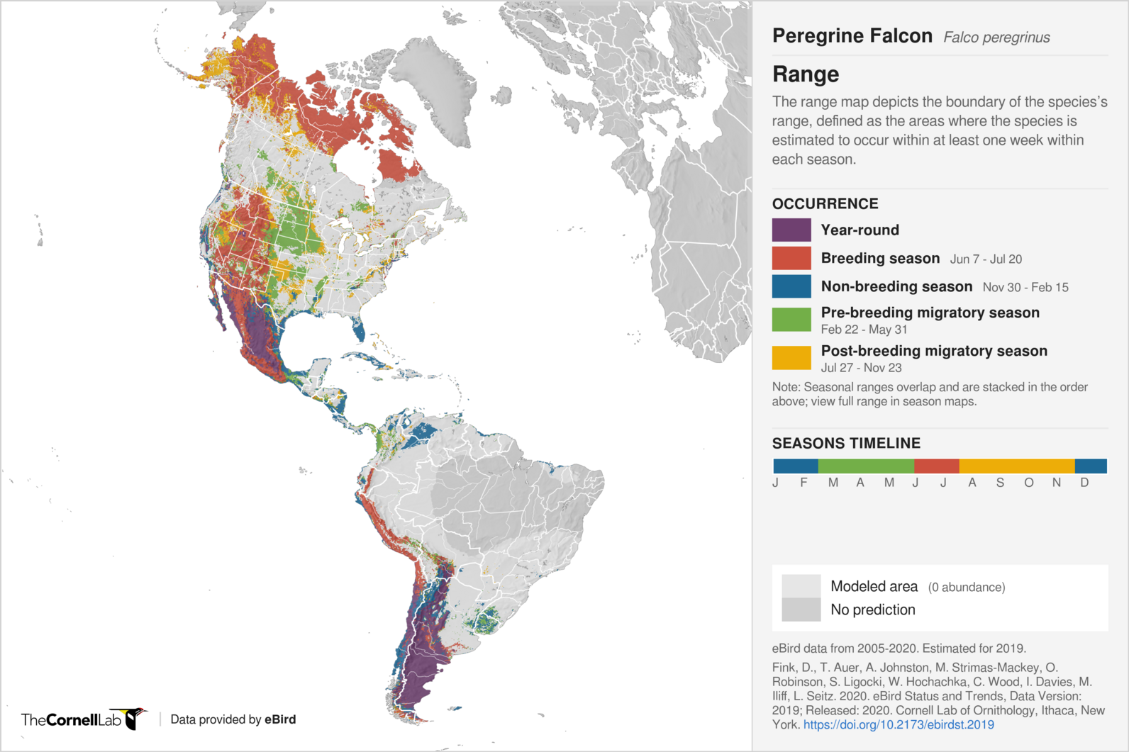 map cornell lab of ornithology north and south american ranges of peregrine falcon