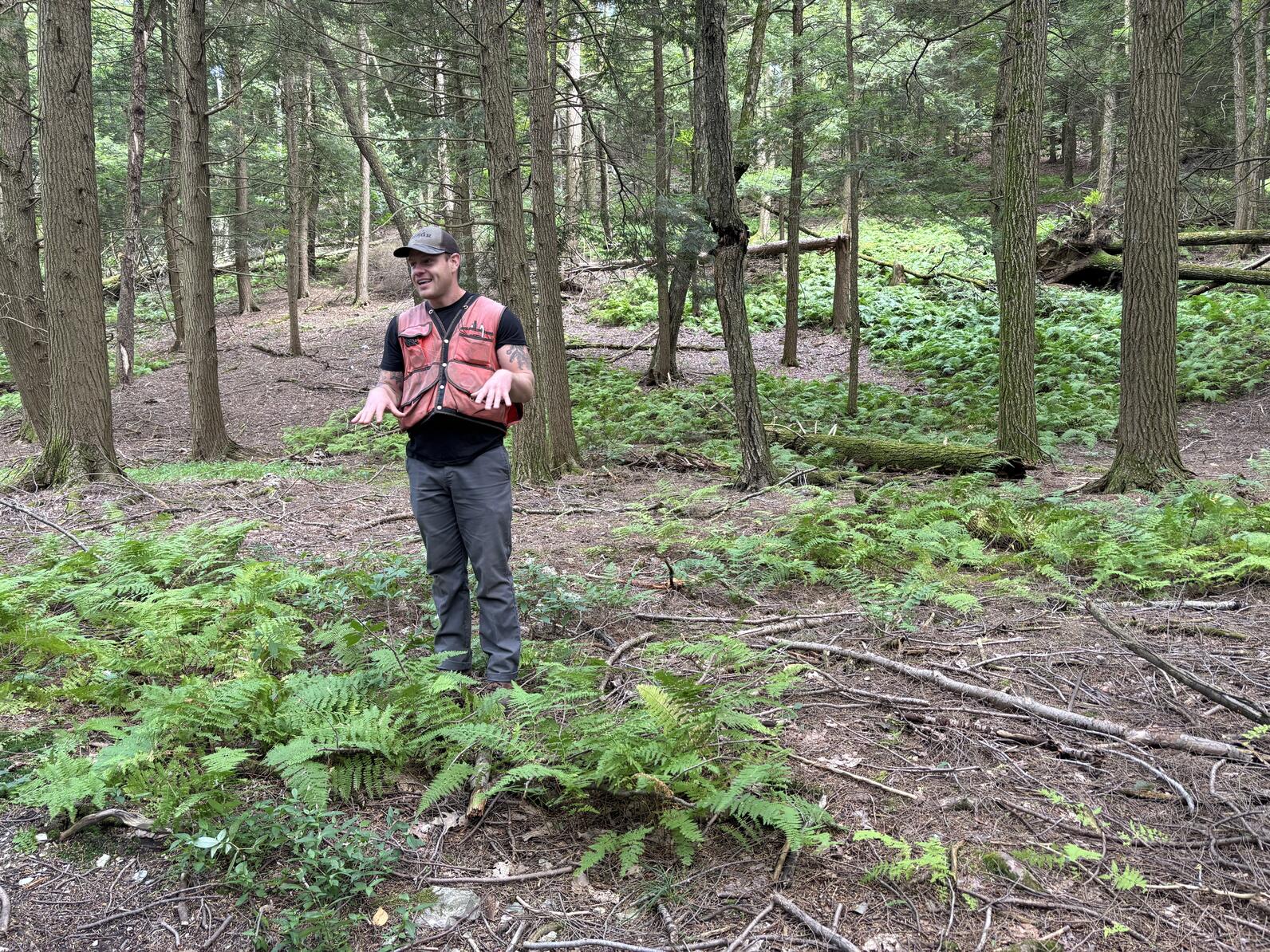 Ethan Tapper standing in a patch of ferns and fallen branches in a forest. Ethan Tapper standing in a patch of ferns and fallen branches in a forest.