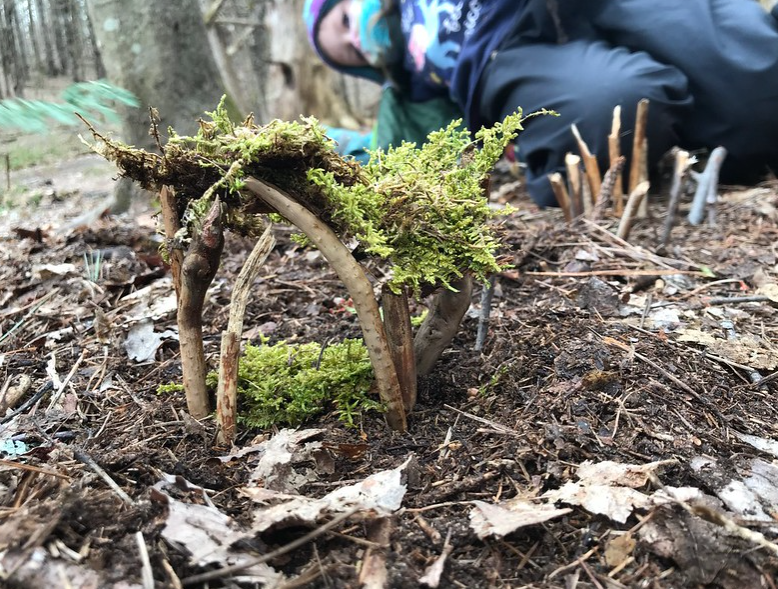 Fairy house