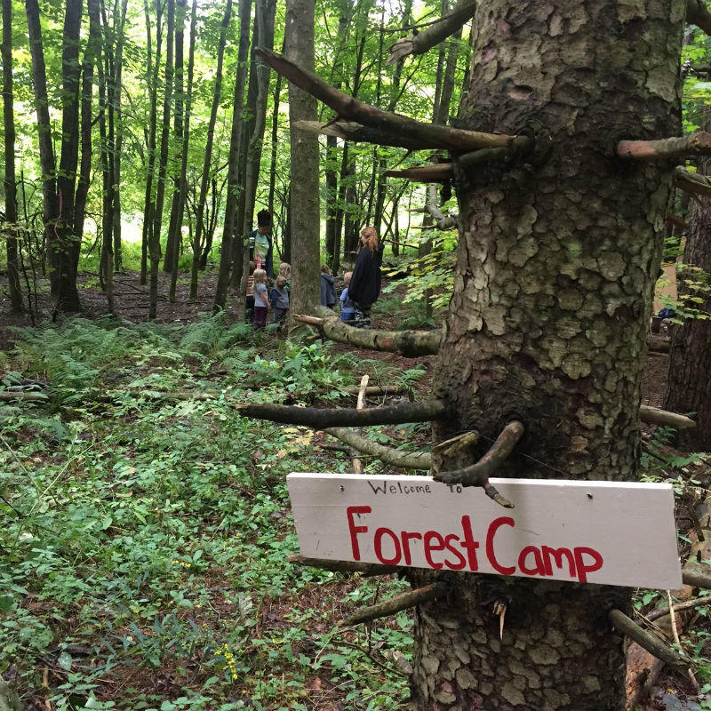 Forest Camp sign