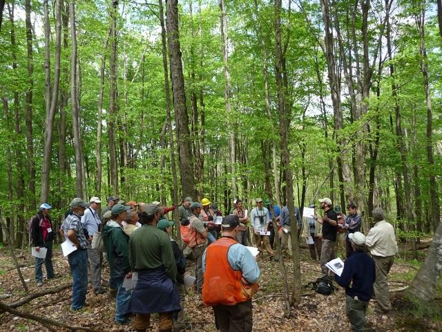 A group of people gathered around in a circle in the woods at a Forestry Workshop.