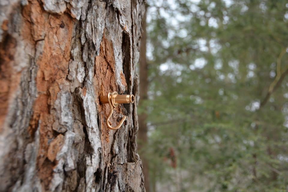 Close-up photo of the rough-barked trunk of a maple tree. A gold-colored maple sap tap hangs from the trunk.