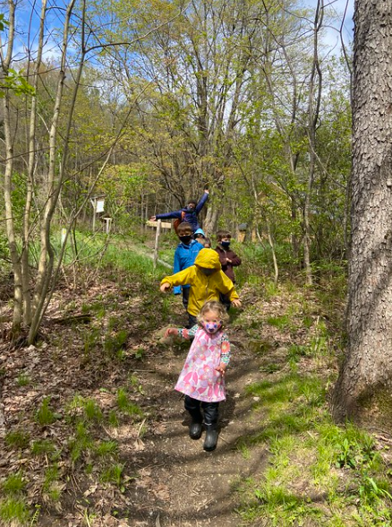 Hiking to Beaver Pond