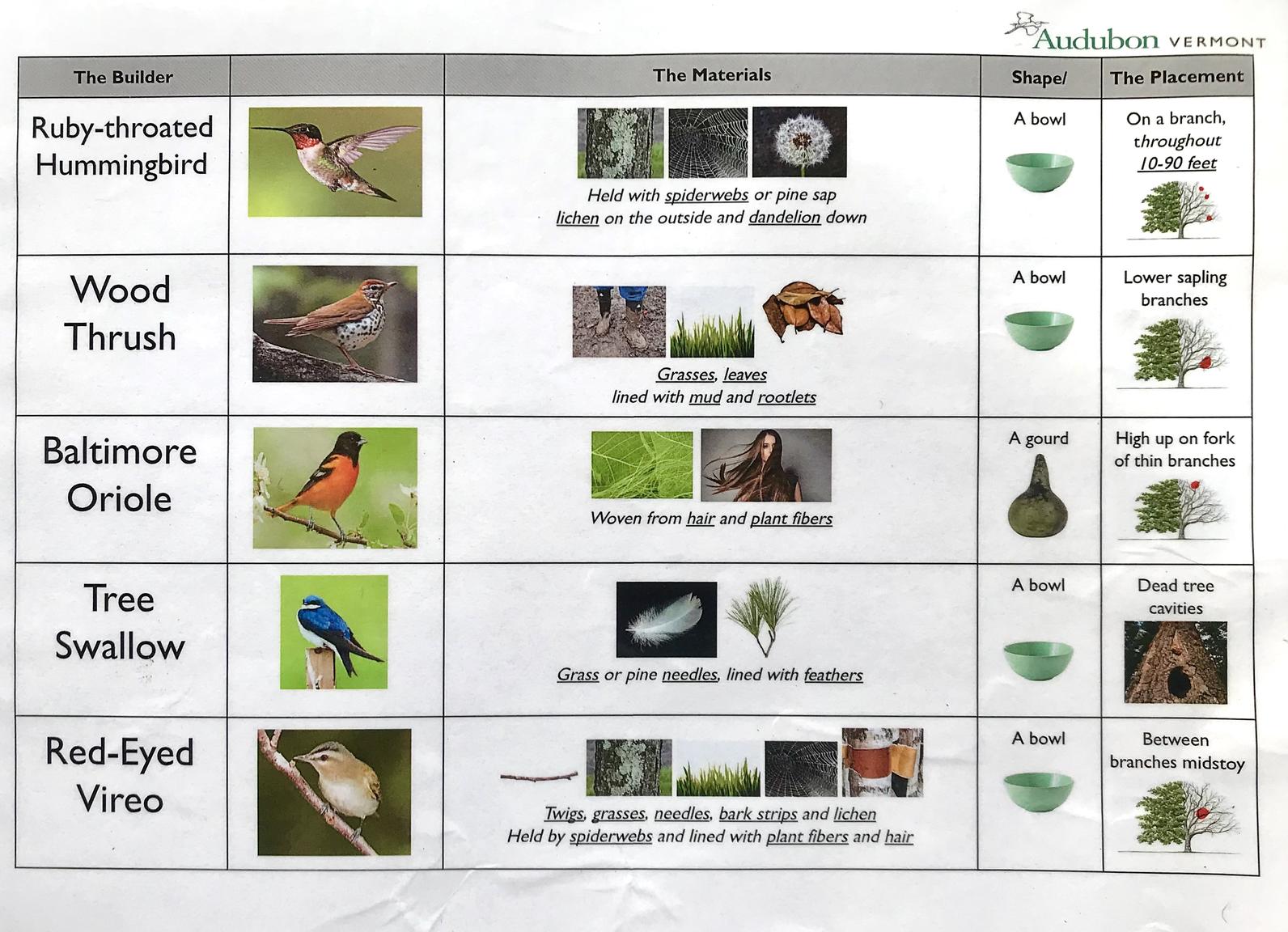 Types Of Bird Nests Chart