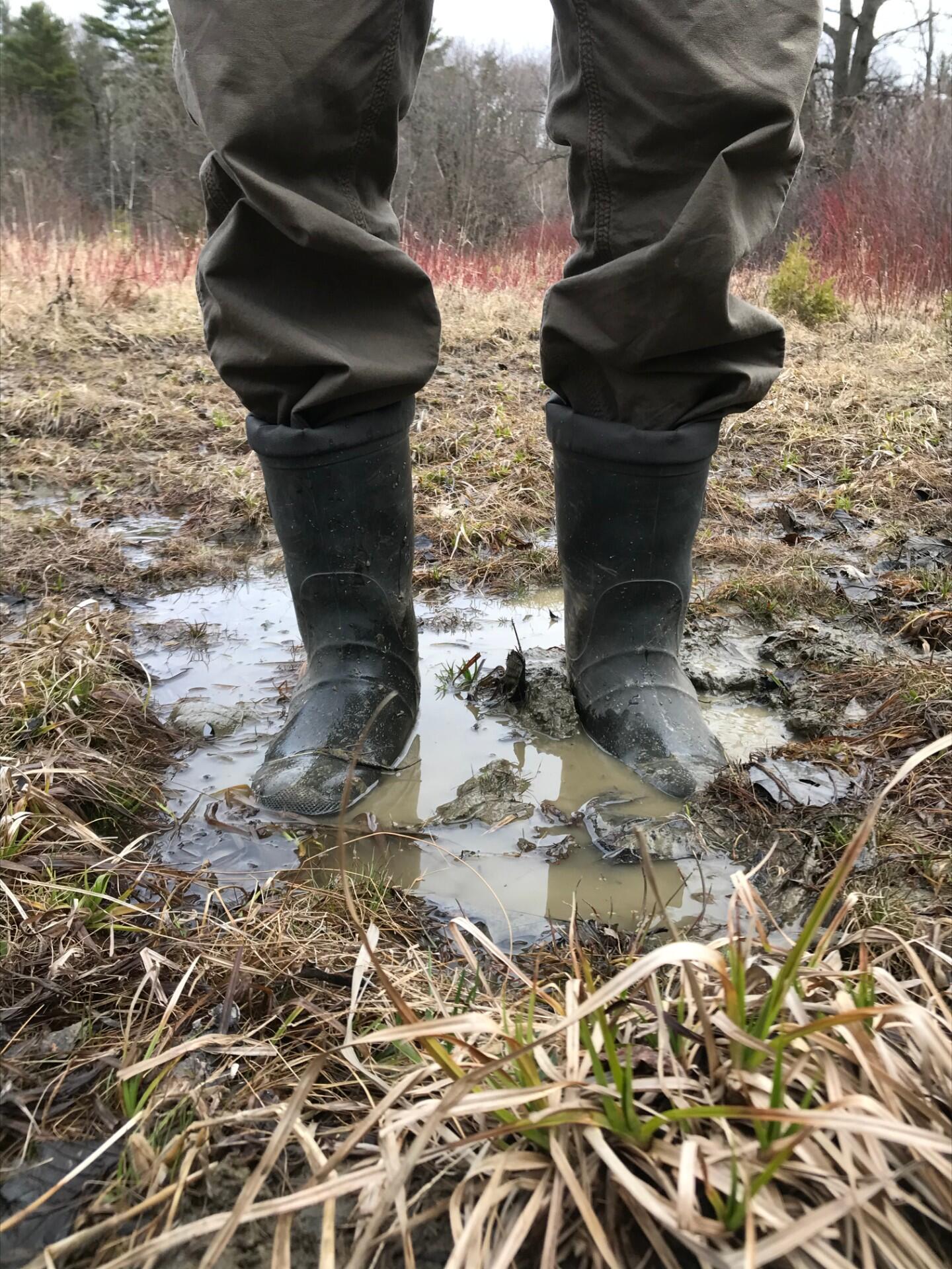 A person wearing black rubber boots stands in a muddy puddle in a soggy wetland. 