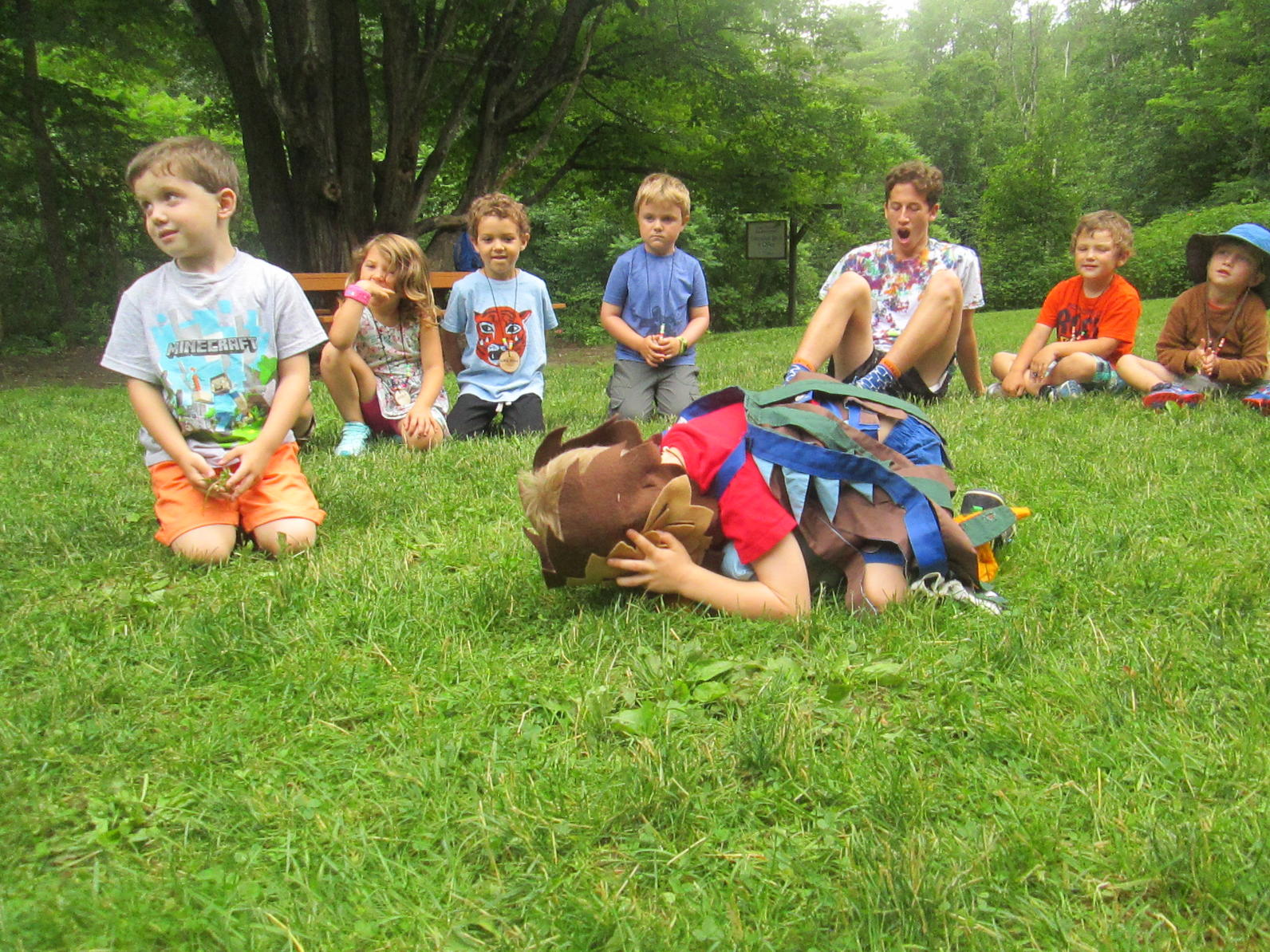 Dress Dress a Bird Pre-K Camp