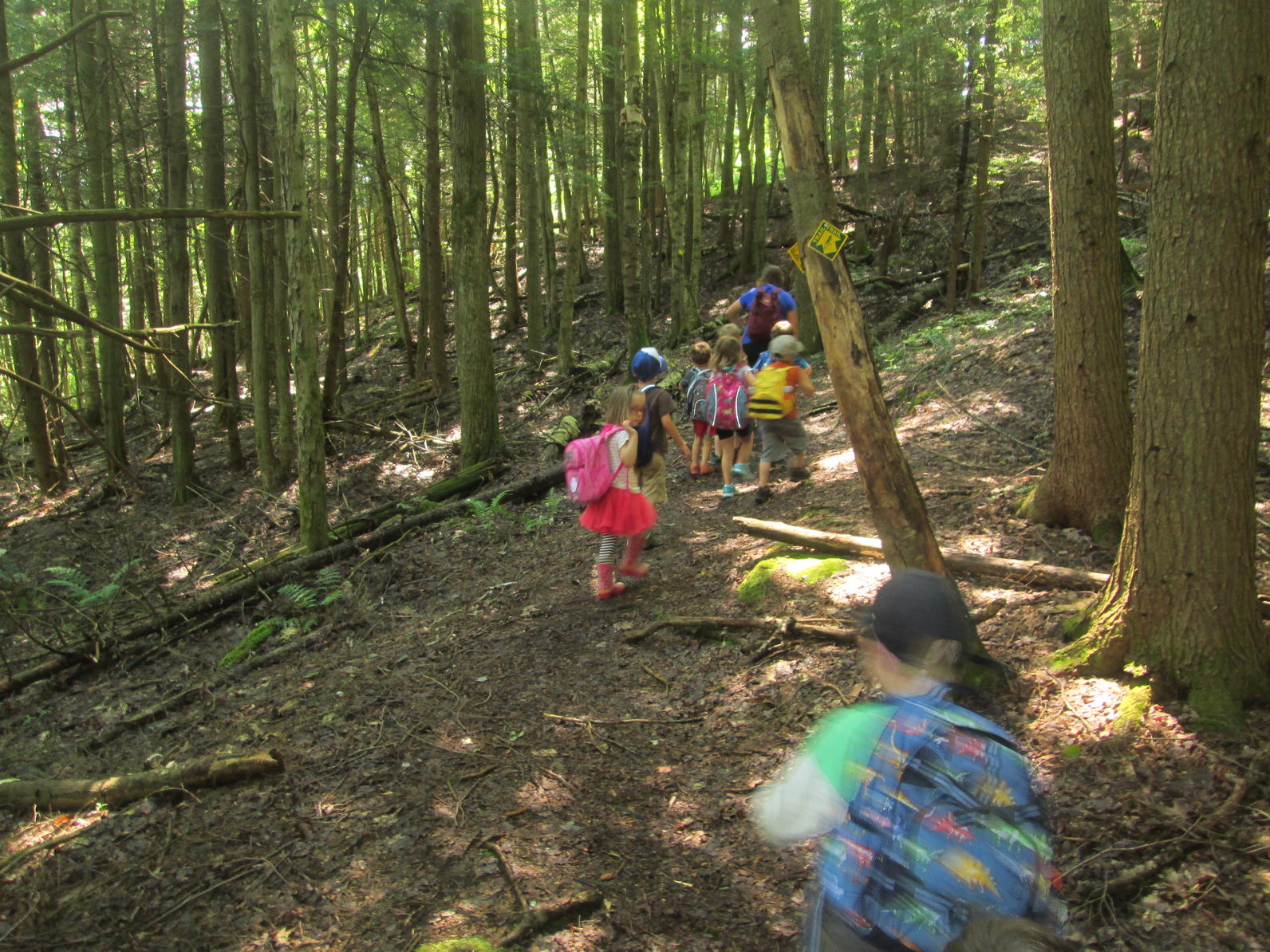 Sensory TRail Pre-k camp 