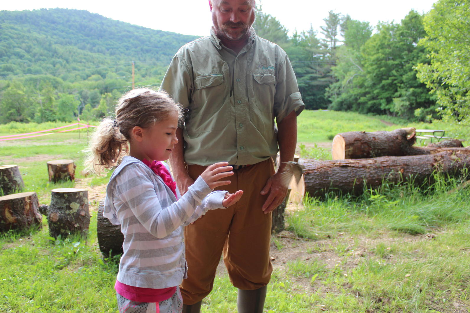 ovenbird release 2