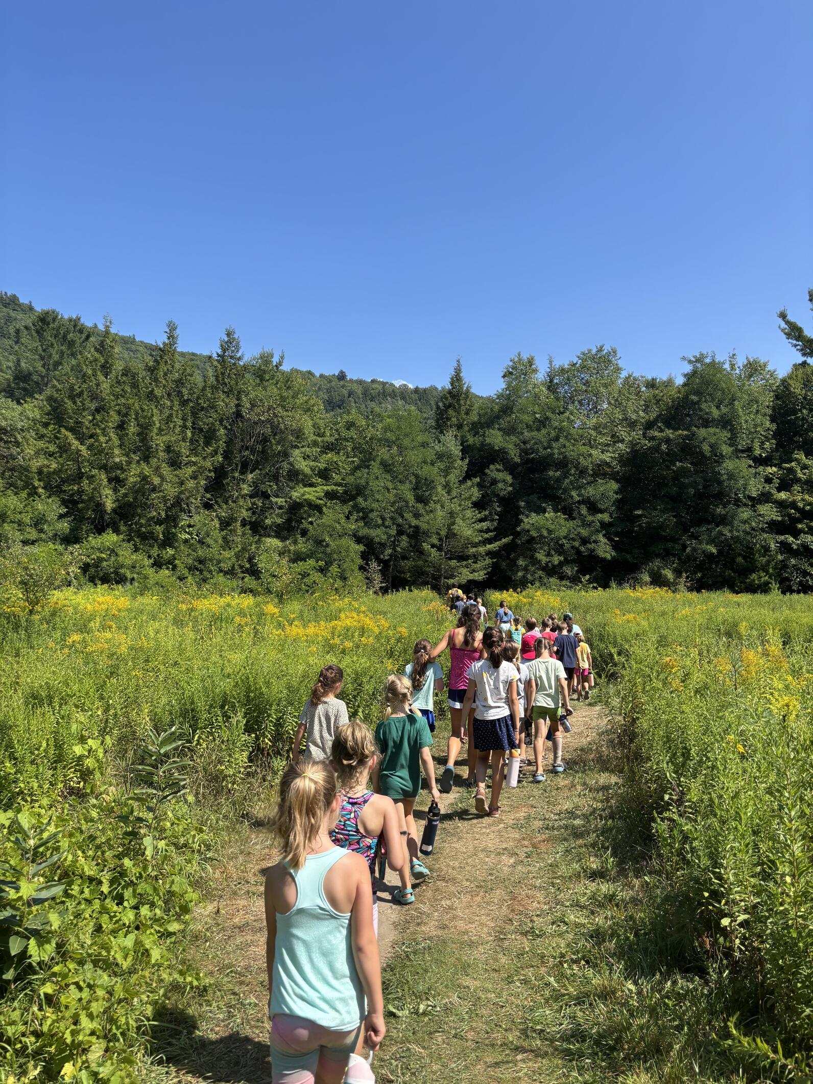 Campers hiking to the river Campers hiking to the river