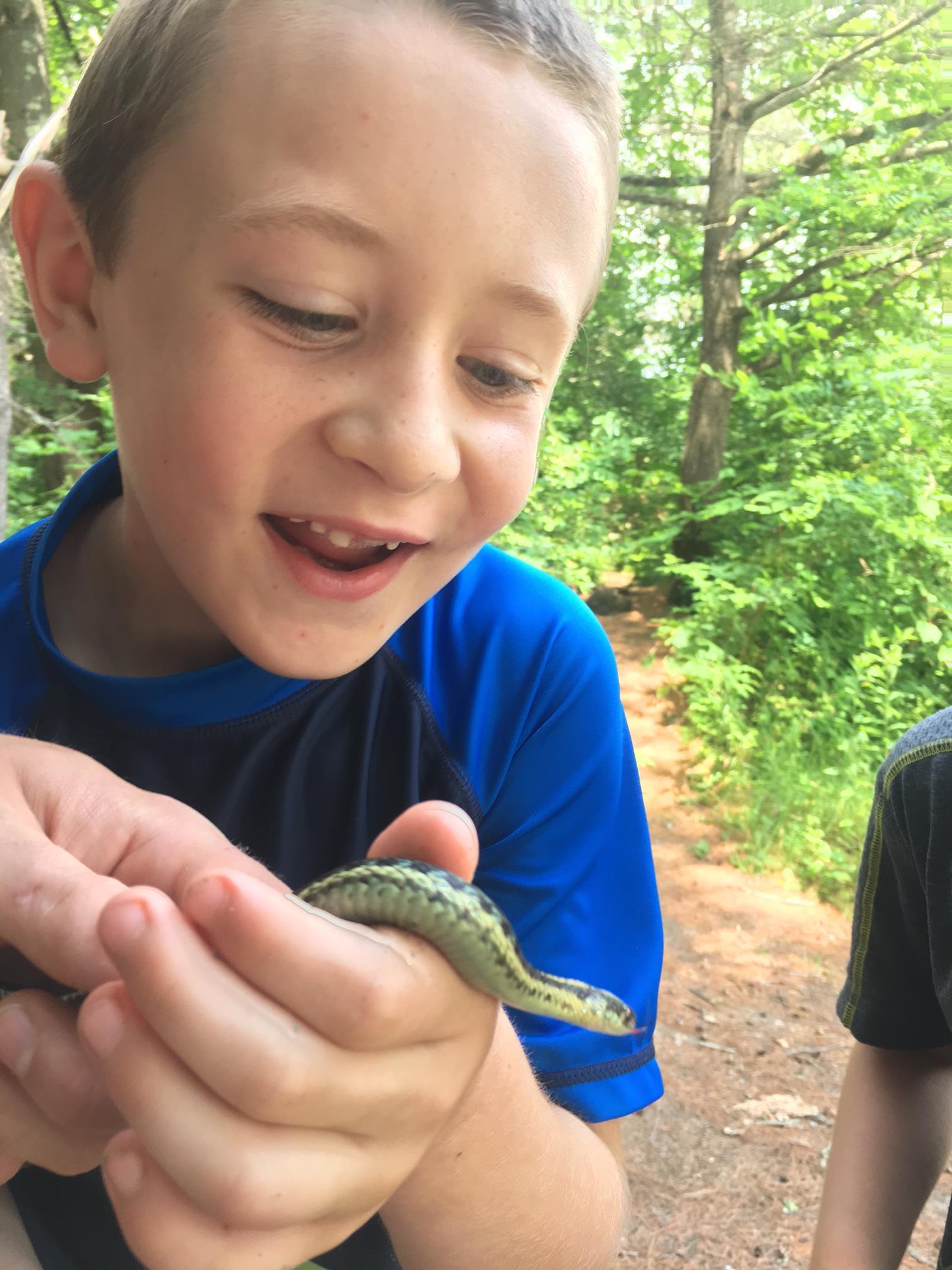 snake at camp