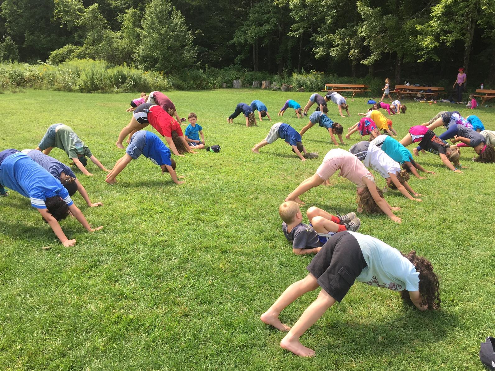 Nature Yoga Camp 