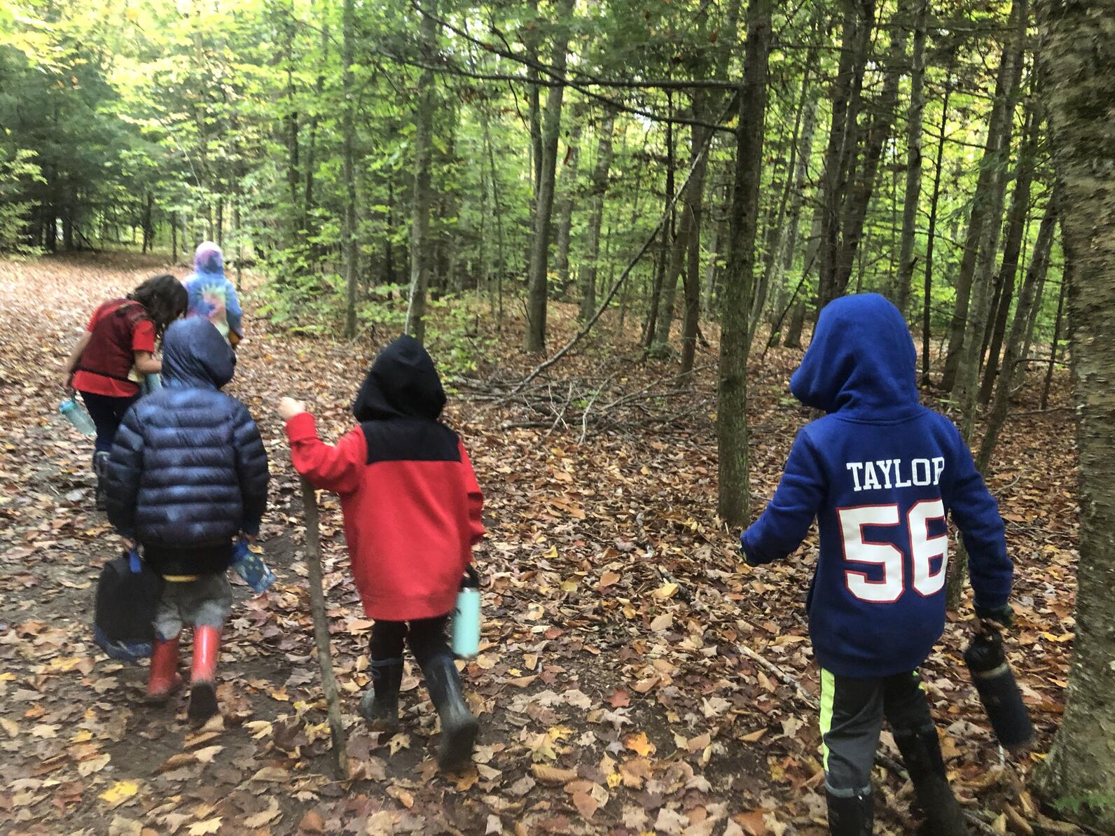 children walk away from the camera along a trail in the woods