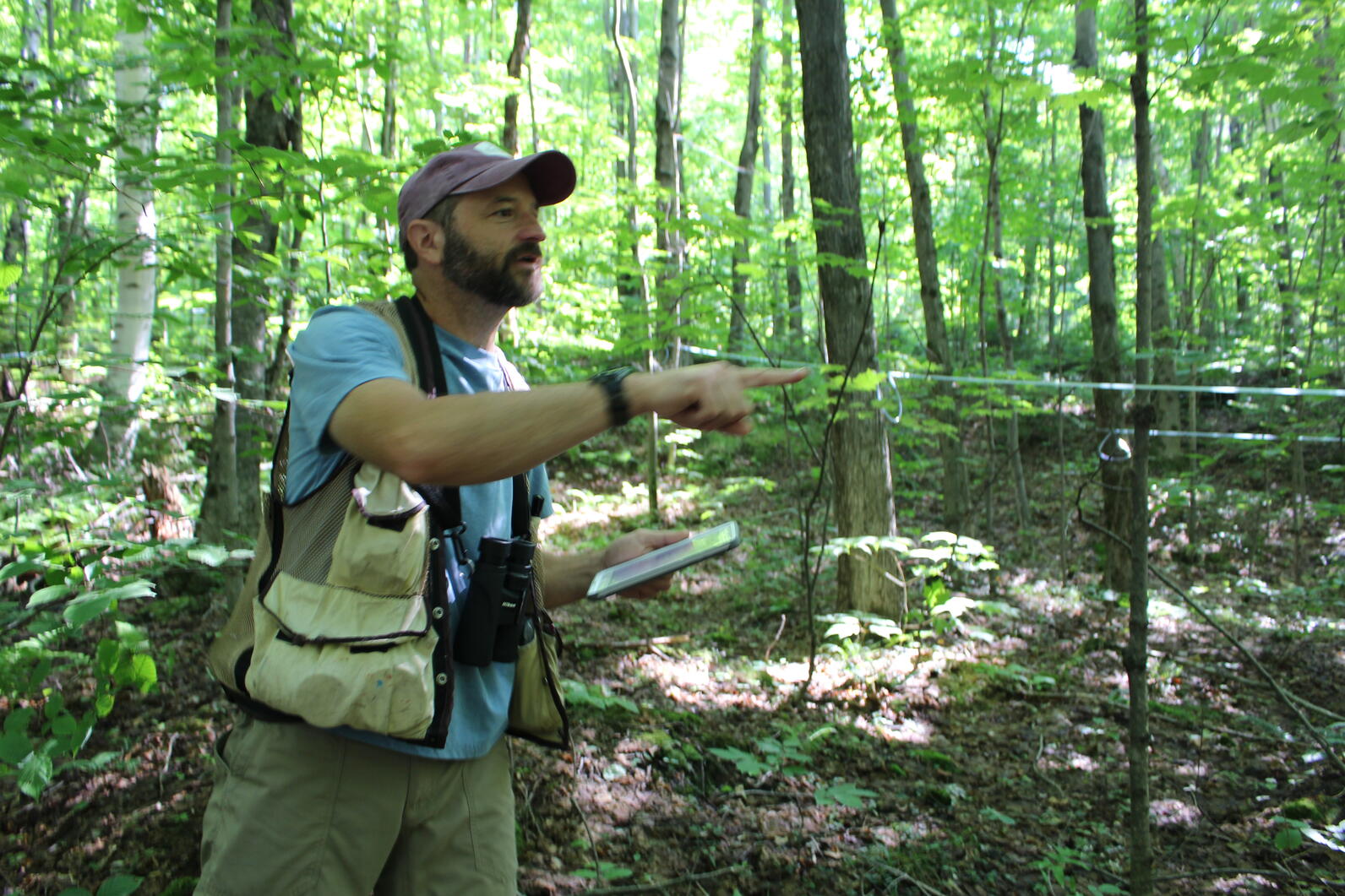 Bird-Friendly Maple Sugarbush Assessment