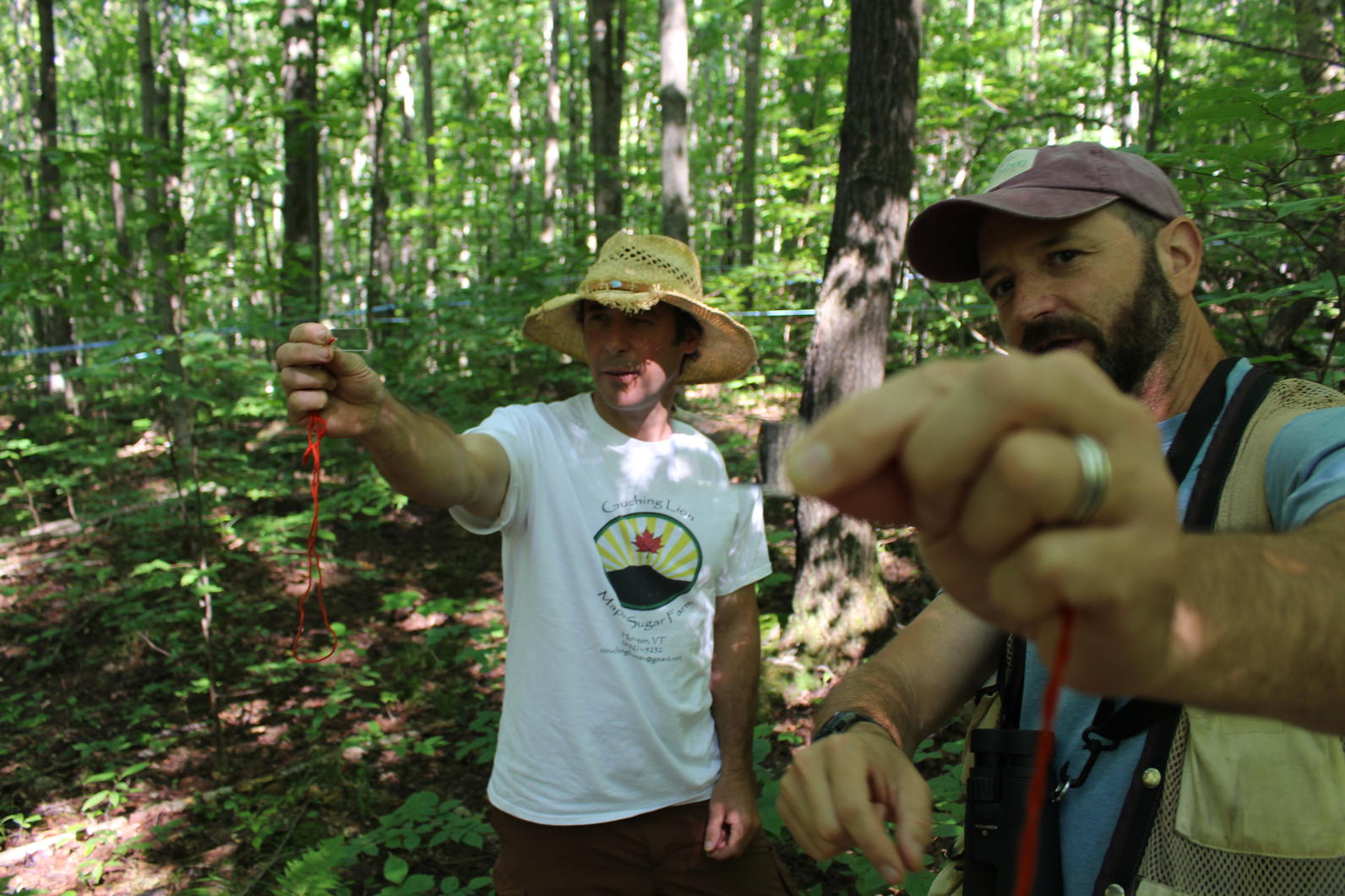 Bird-Friendly Maple Sugarbush Assessment Bird-Friendly Maple Sugarbush Assessment