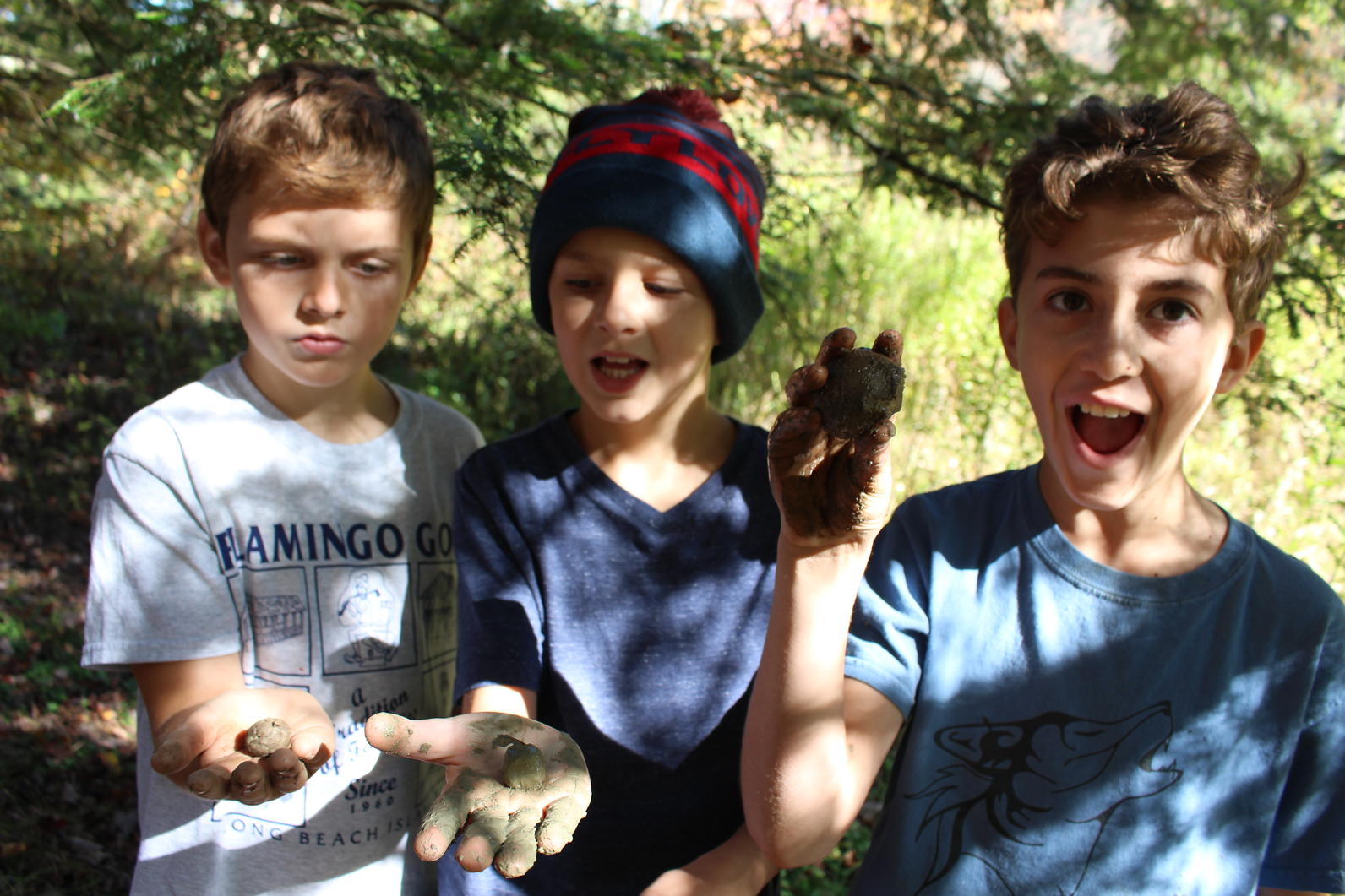 Native Plant Seed Bomb