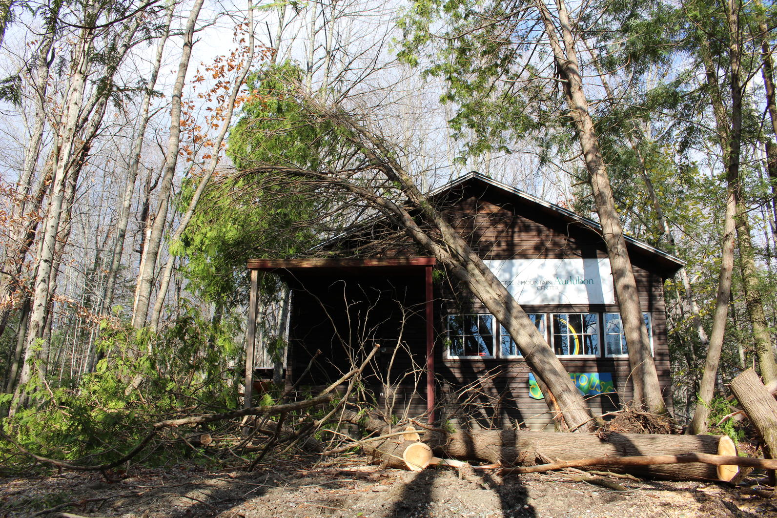 Wind Storm Recovery_Audubon Vermont Wind Storm Recovery_Audubon Vermont