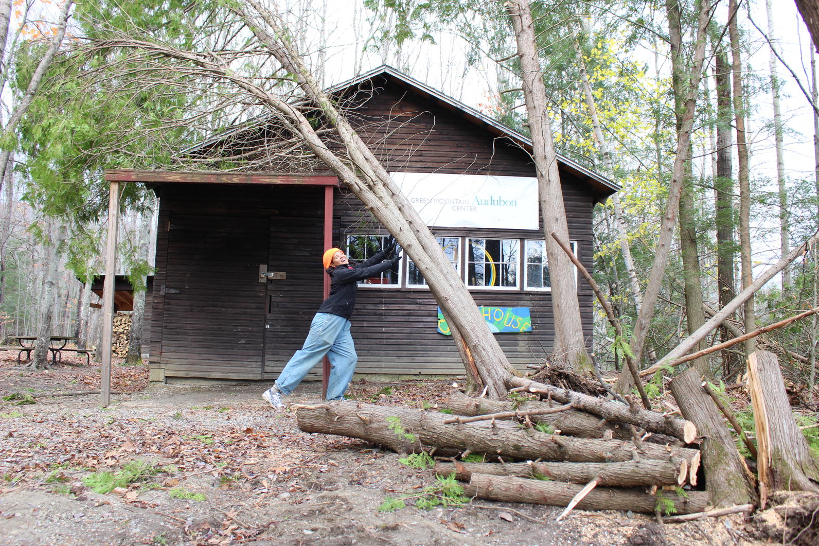 Wind Storm Recovery_Audubon Vermont