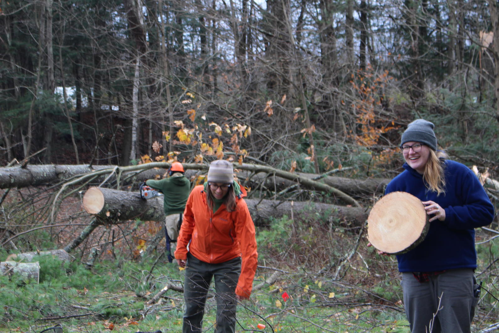 Wind Storm Recovery_Audubon Vermont