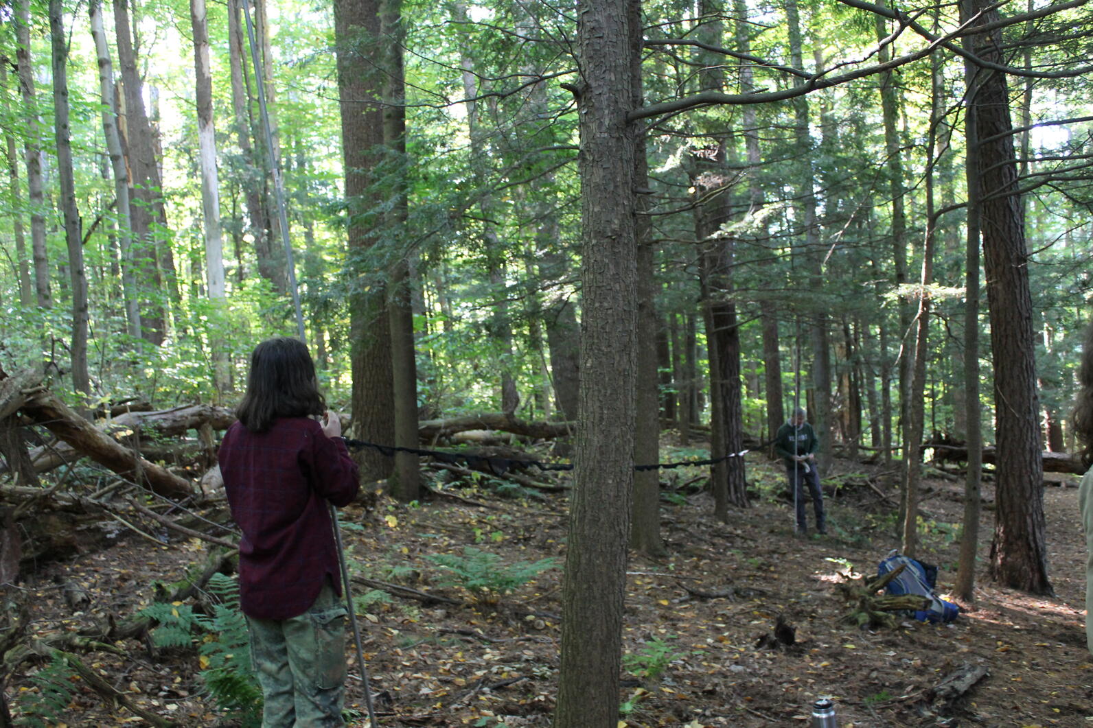 A student and professor set up a mist net