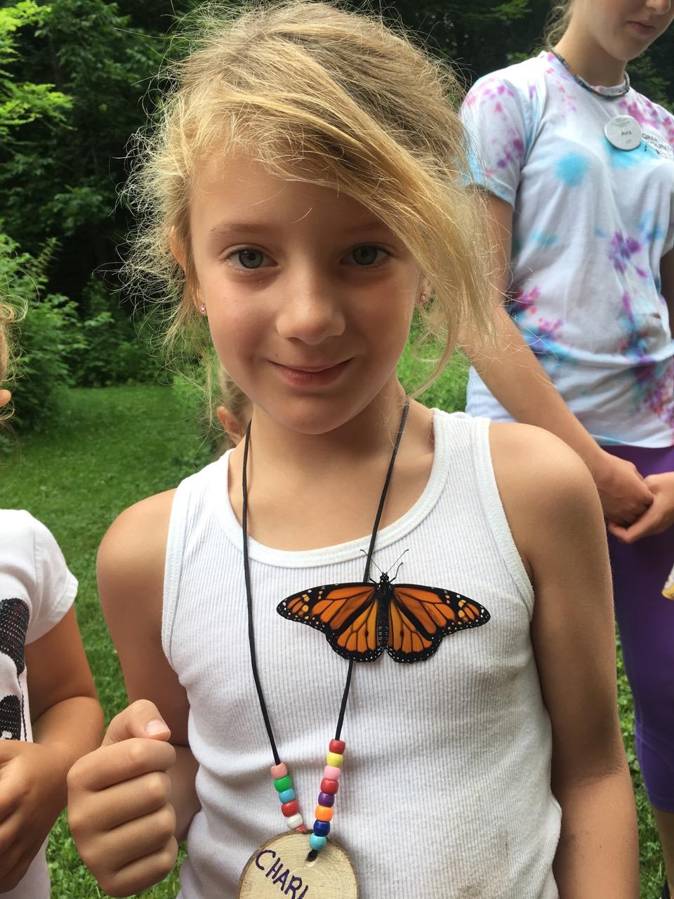 Monarch at Camp 