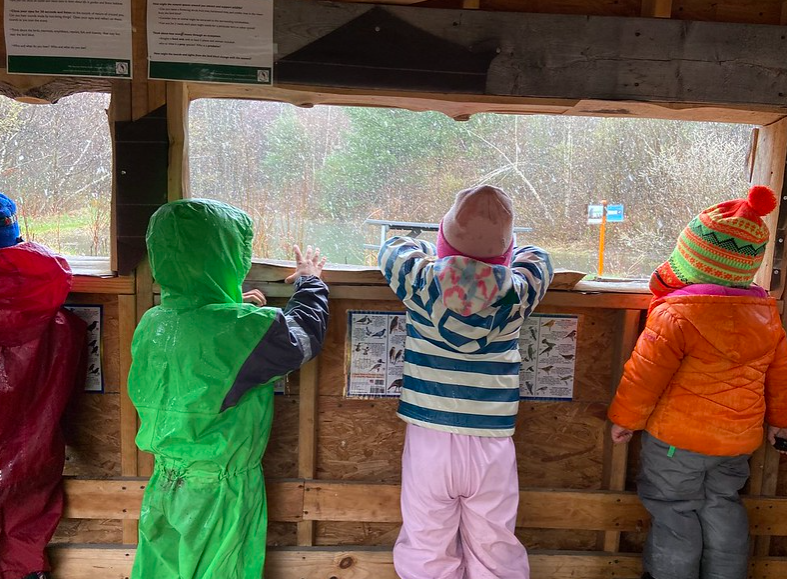 Inside the bird blind