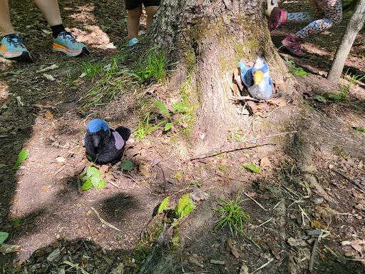 Common Grackle and Great Blue Heron stuffed animals sit atop kid-constructed bird nests on the forest floor. 