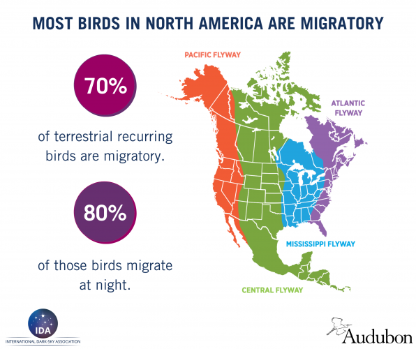 Lights Out - Migration Maps