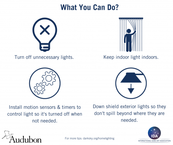 Lights Out - What Your Can Do