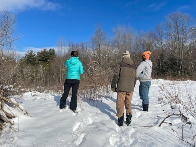 three people looking at shrubs on a sunny day in winter