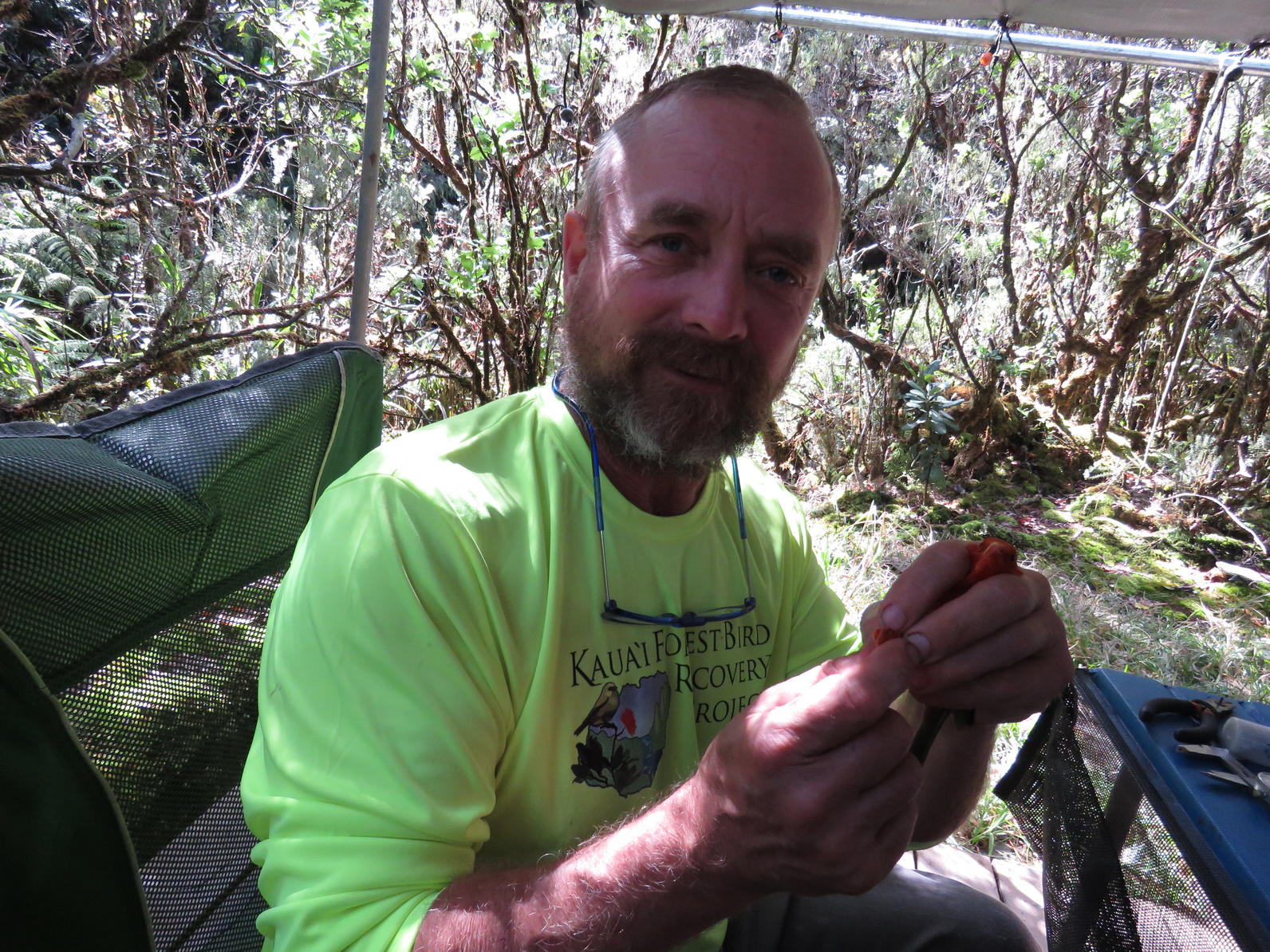 Mark Hawaii bird Banding