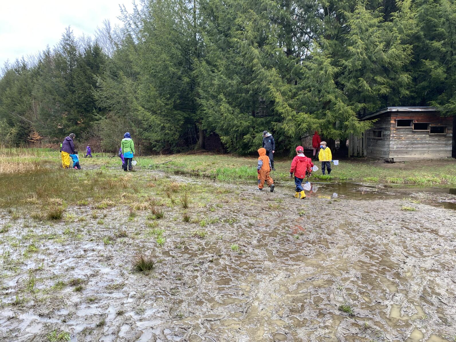 students exploring Beaver Pond