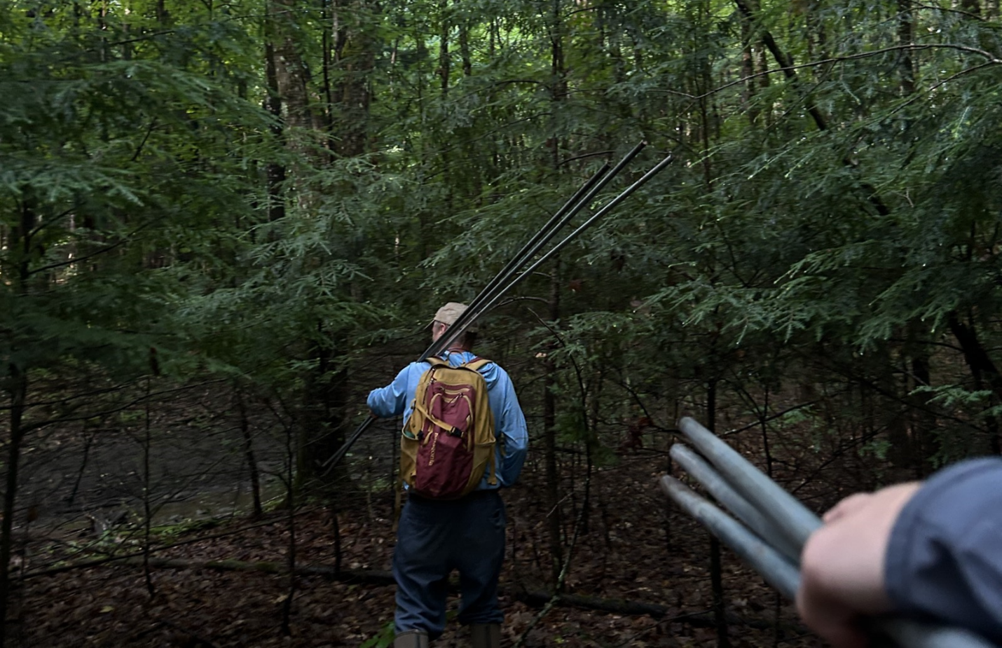 Mark and Pete carrying mist nests through the woods.