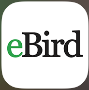 eBird app logo