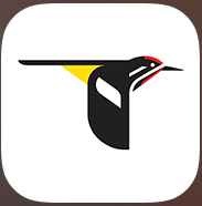 Merlin Bird ID app logo
