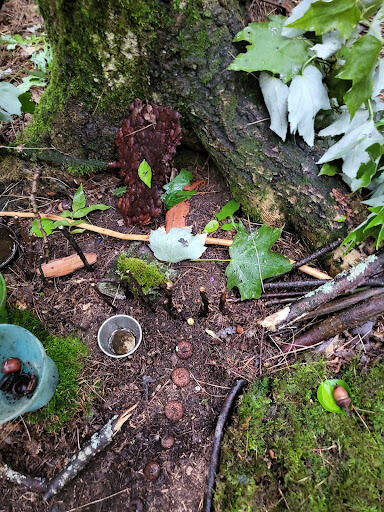 Small twigs stick out of the ground to serve as a protective wall. A moss couch and bark sink define a private kitchen for our newt couple. In the bedroom, enclosed by bumpy bark with a leaf window, a red eft is on top of the leaf pillow and bark bed.