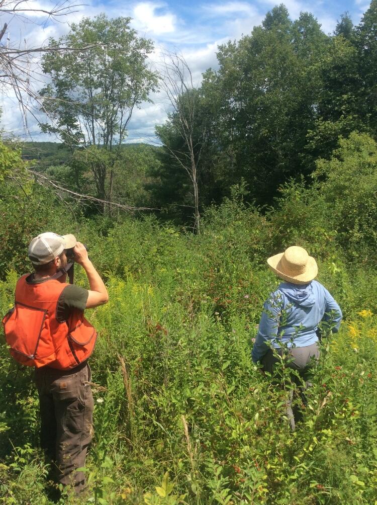 Forest Program Senior Associate Tim Duclos with a land owner. They are facing away from the camera looking out over a field. Tim is looking through binoculars.