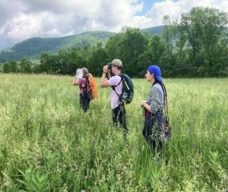 Three Audubon researchers use binoculars to scan a field for Bobolinks. 