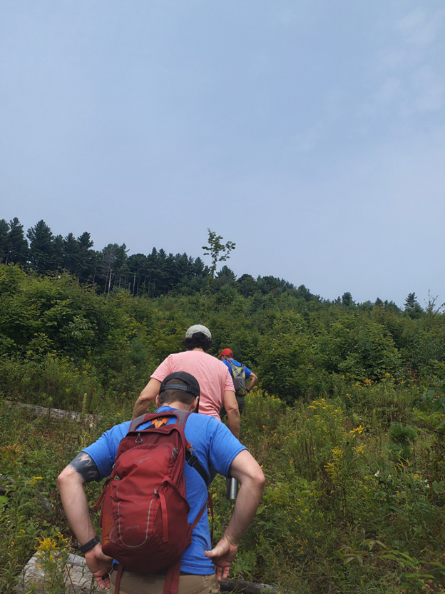 A photo showing three people walking in a single file line up an uphill trail through a meadow.