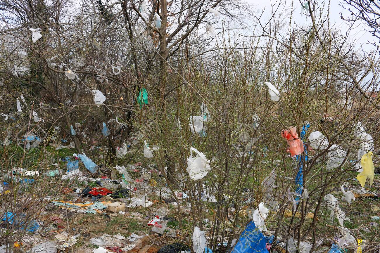 Plastic bags caught on trees. Photo: Goce Risteski