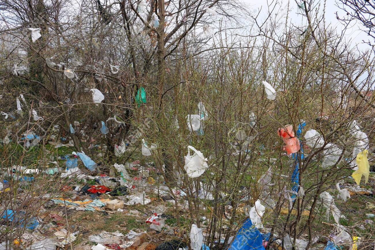 Plastic bags caught on trees. Photo: Goce Risteski Plastic bags caught on trees. Photo: Goce Risteski