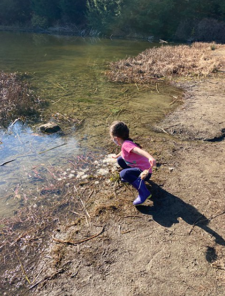 A Hike to Sunny Beaver Pond | Audubon Vermont