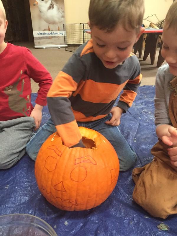 Playtime and Pumpkins | Audubon Vermont