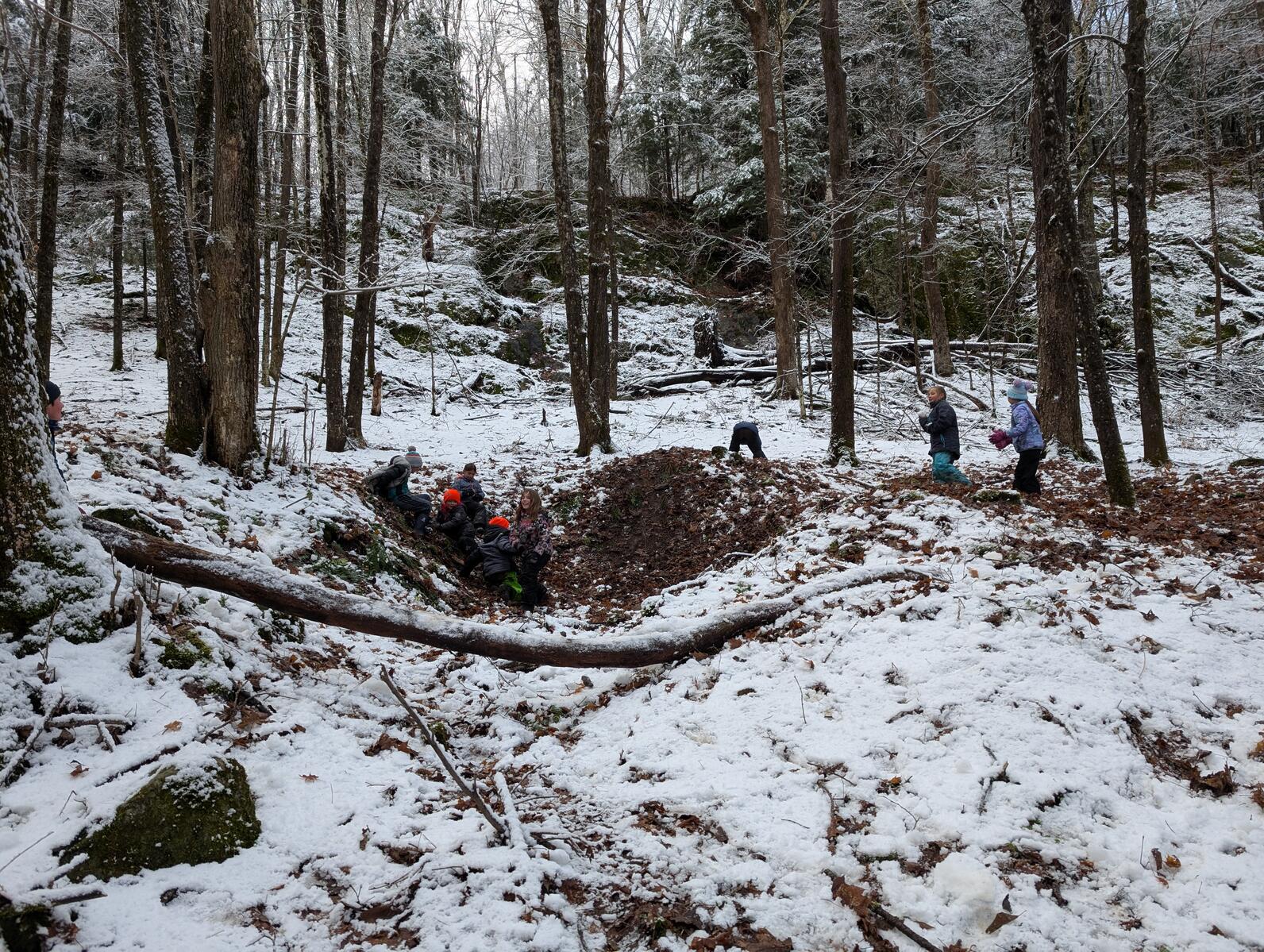 Children play in a snowy and muddy slope in the forest