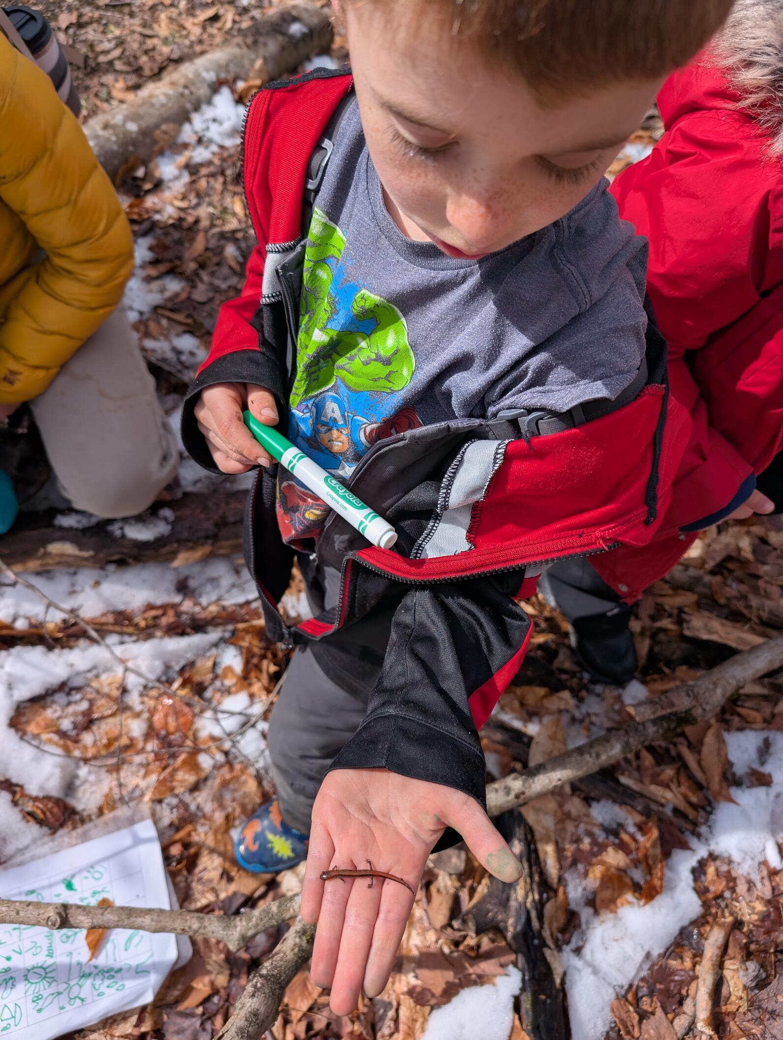 A kid holds out his hand looking down at a red-backed salamander in his hand hand