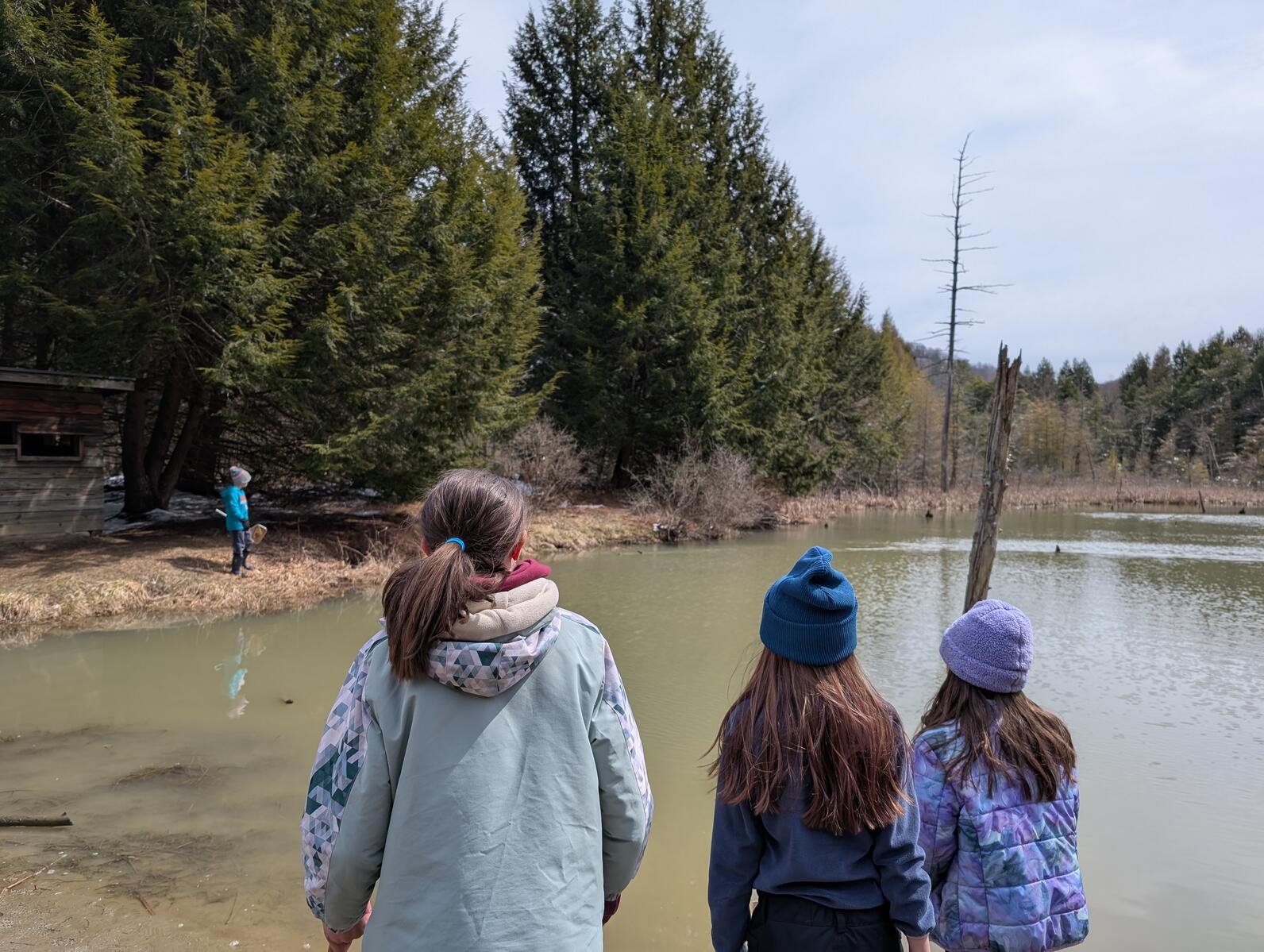 Several kids stand on the muddy bank of a pond looking at a muskrat swimming in the water. The muskrat is far enough away that it is difficult to see in the photo