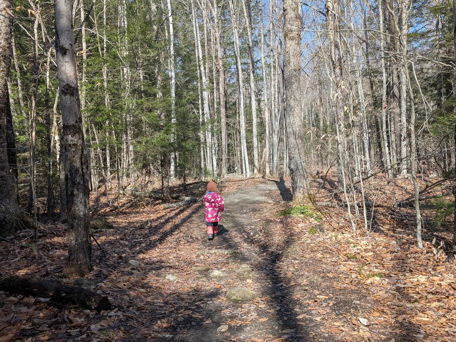 A small child in a pink rain suit runs on a trail through the woods