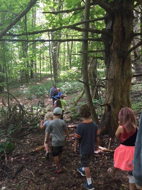 Hiking Pre-K Camp