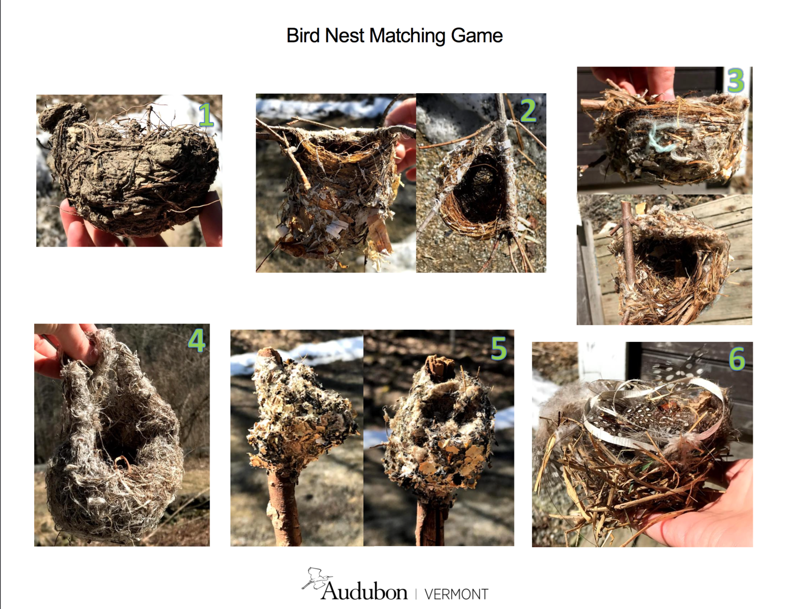 nest matching game nest matching game