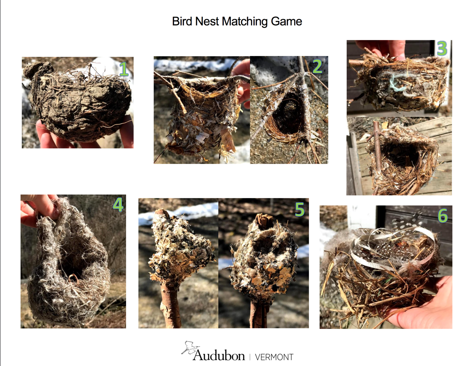 nest matching game